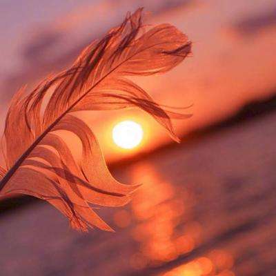 威尼斯wns·8885556